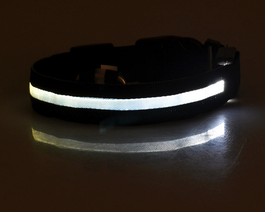 LED Dog Safety Collar - Adjustable Light-Up Nylon
