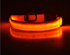 LED Dog Safety Collar - Adjustable Light-Up Nylon
