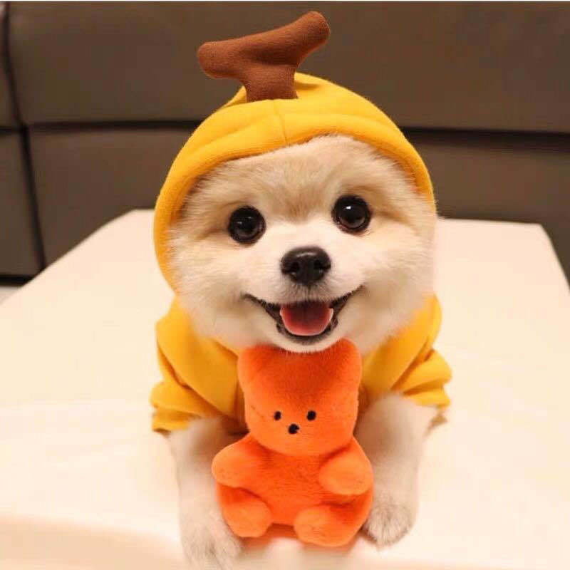 Cute Fruit Dog Hoodie - Warm Fleece Winter Clothes