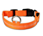 LED Dog Safety Collar - Adjustable Light-Up Nylon