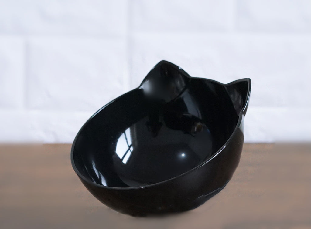 Inclined Transparent Pet Bowl with Base
