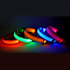 LED Dog Safety Collar - Adjustable Light-Up Nylon