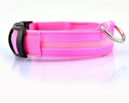 LED Dog Safety Collar - Adjustable Light-Up Nylon