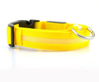 LED Dog Safety Collar - Adjustable Light-Up Nylon