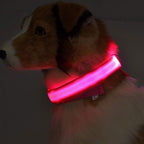 LED Dog Safety Collar - Adjustable Light-Up Nylon