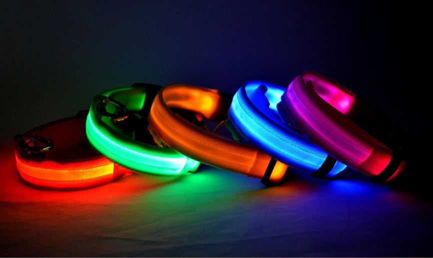 LED Dog Safety Collar - Adjustable Light-Up Nylon