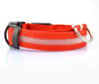 LED Dog Safety Collar - Adjustable Light-Up Nylon