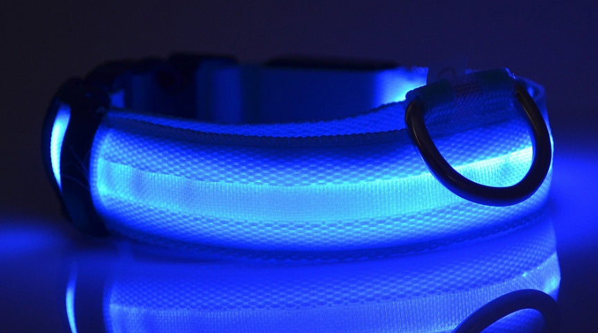 LED Dog Safety Collar - Adjustable Light-Up Nylon