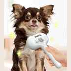 Self-Cleaning Mist Pet Brush for Dogs