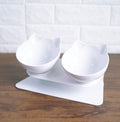 Inclined Transparent Pet Bowl with Base