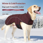 Winter Dog Vest Jacket - Insulated & Cozy