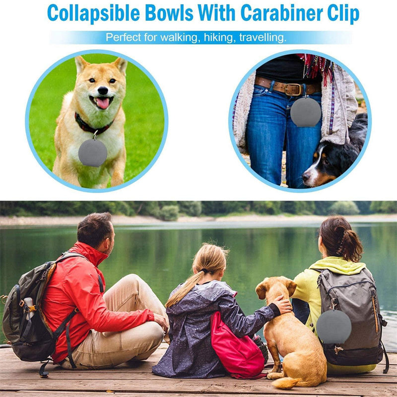Foldable Double Dog Bowl with Mat