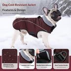 Winter Dog Vest Jacket - Insulated & Cozy