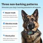 Smart Anti-Bark Dog Collar with Display & Vibration