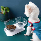 Inclined Transparent Pet Bowl with Base