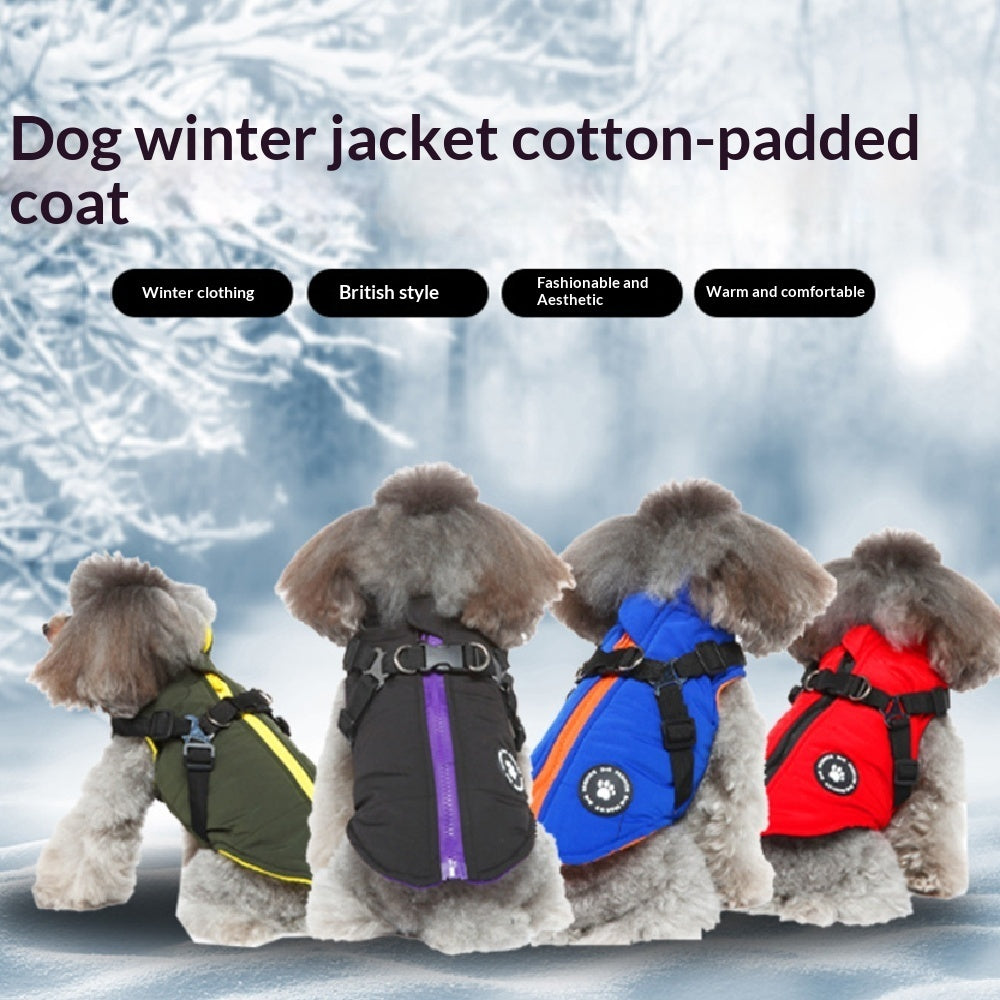 Dog Autumn and Winter Clothes