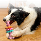 Indestructible Dog Chew Toy TPR Bone - Dental Cleaning Anti-Tartar Pet Toy
