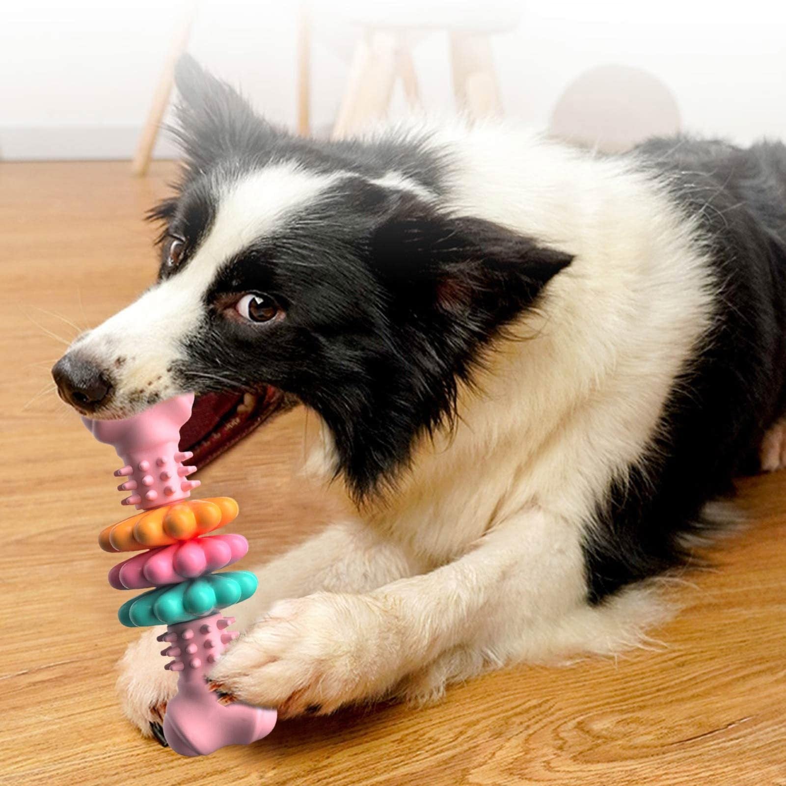 Indestructible Dog Chew Toy TPR Bone - Dental Cleaning Anti-Tartar Pet Toy