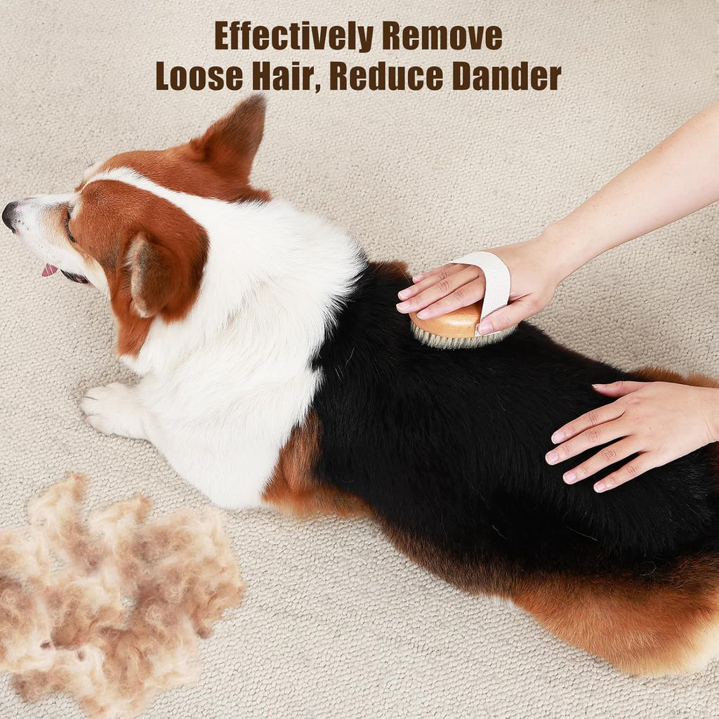 Soft Boar Bristle Pet Palm Brush - WagLix