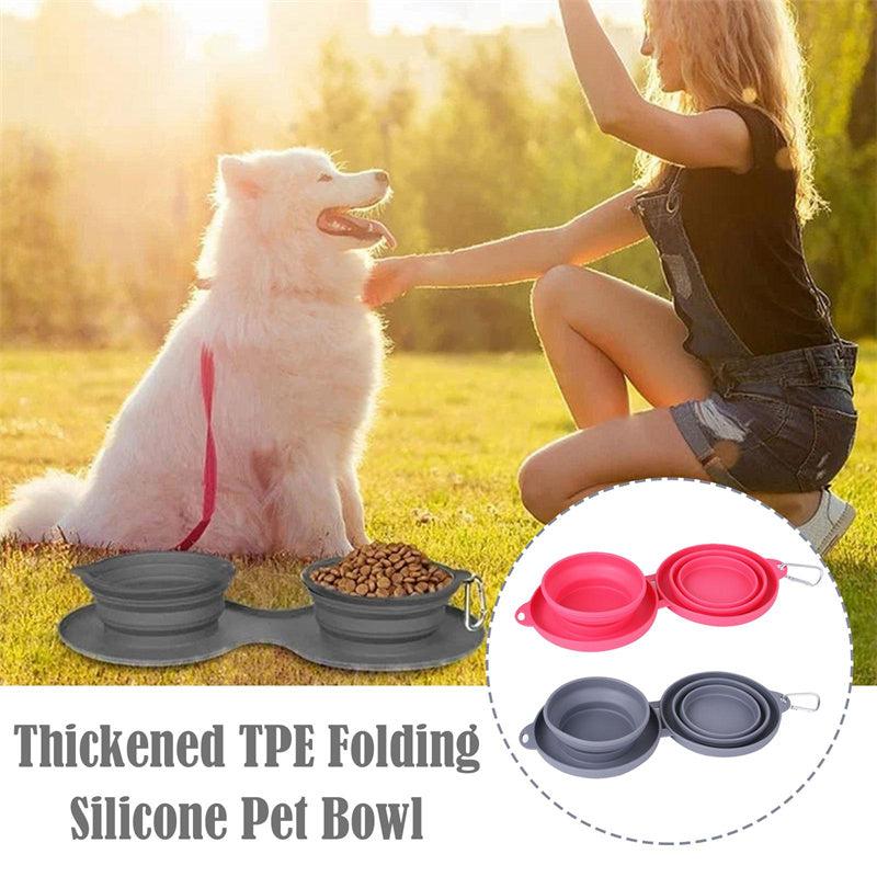 Foldable Double Dog Bowl with Mat