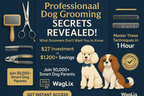 Troisième image Pinterest premium pour WagLix avec angle "secrets professionnels révélés" et design luxueux pour attirer l'audience experte